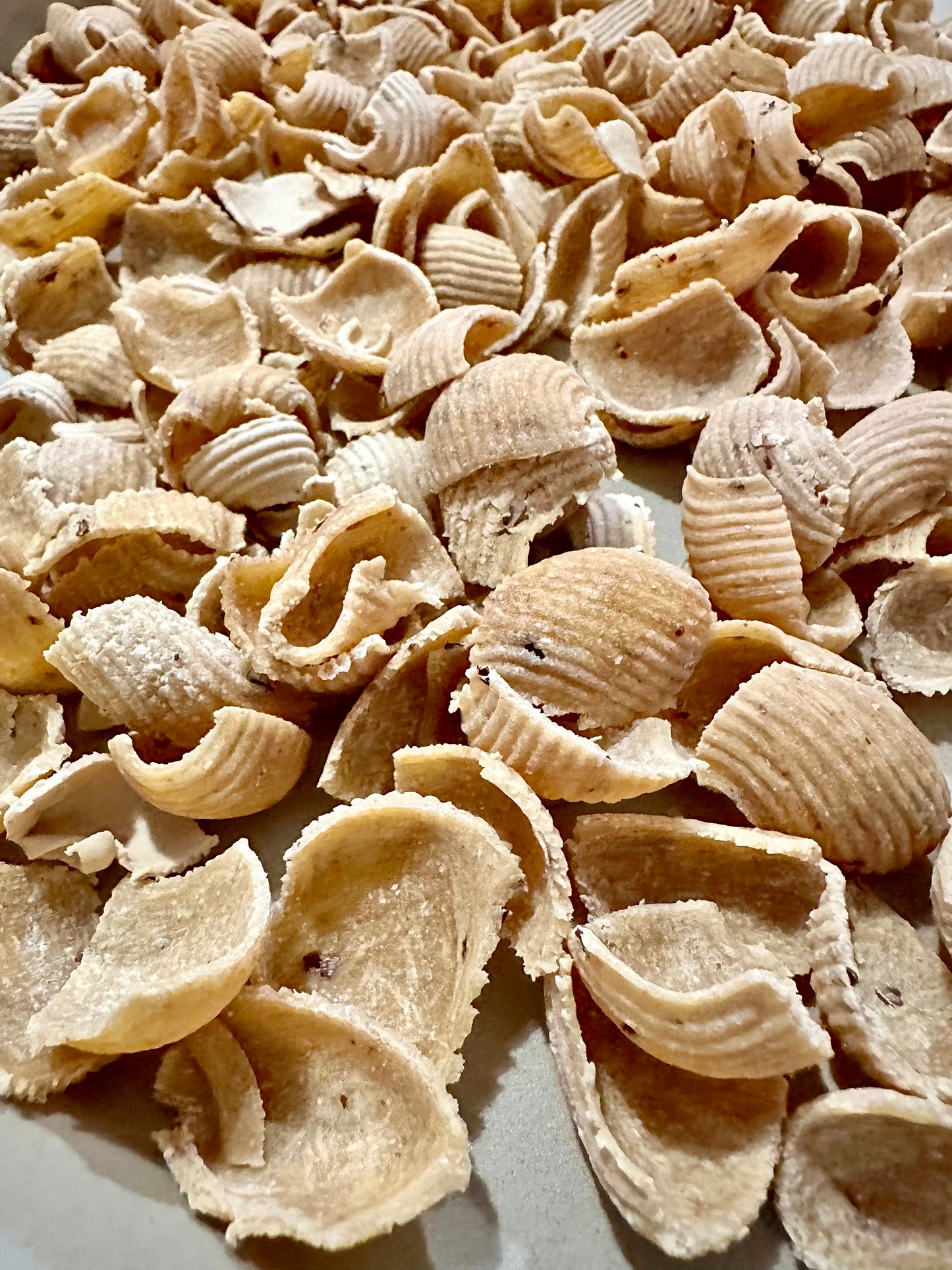 Spicy Shells