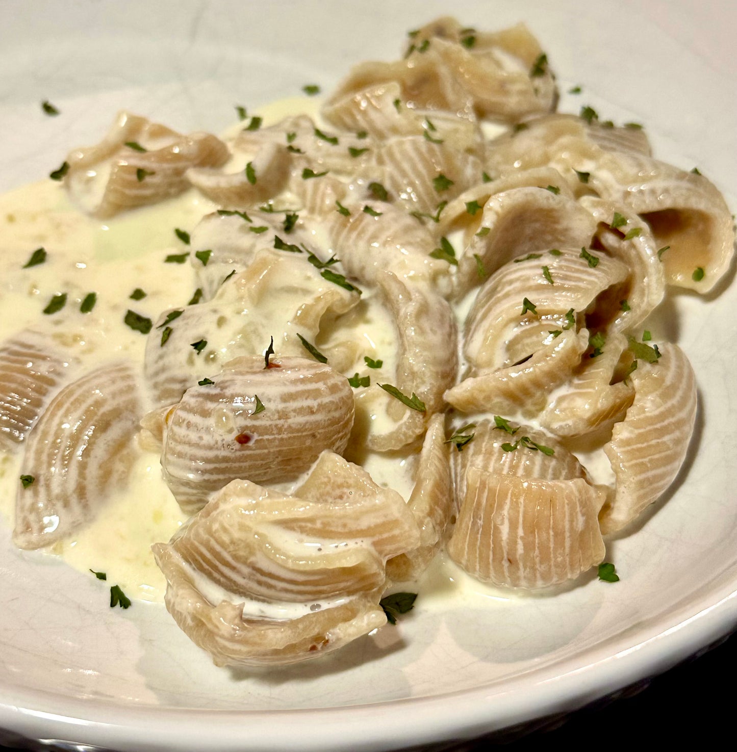 Spicy Shells